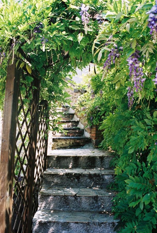 לינה וארוחת בוקר Les Bois-d'Anjou Le Logis Du Pressoir Chambre D'Hotes Bed & Breakfast In Beautiful 18Th Century Estate In The Heart Of The Loire Valley With Heated Pool And Extensive Grounds מראה חיצוני תמונה