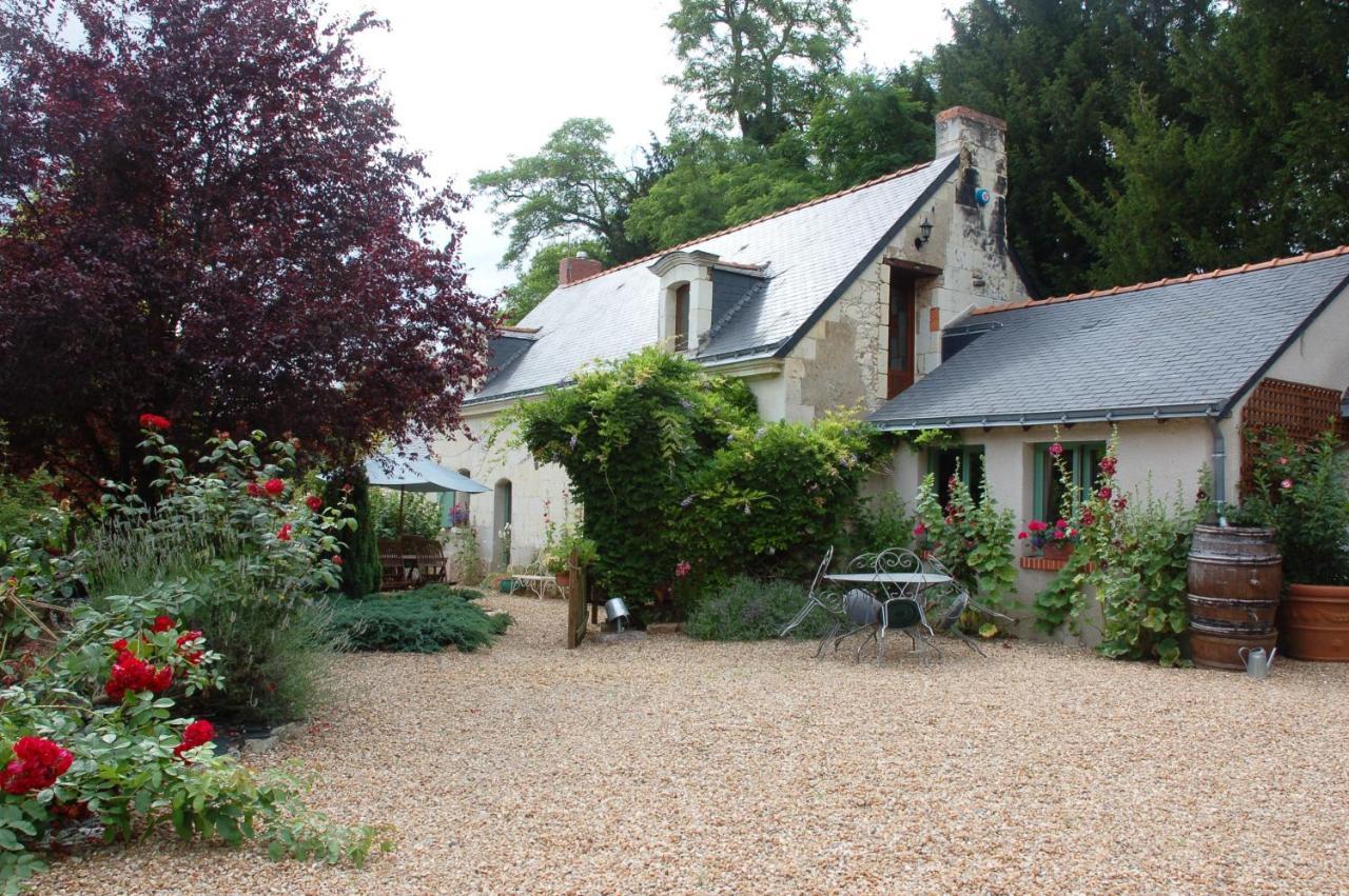 לינה וארוחת בוקר Les Bois-d'Anjou Le Logis Du Pressoir Chambre D'Hotes Bed & Breakfast In Beautiful 18Th Century Estate In The Heart Of The Loire Valley With Heated Pool And Extensive Grounds מראה חיצוני תמונה